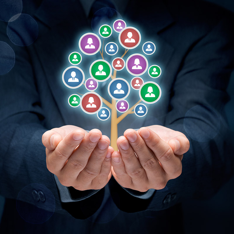 CRM (intranet), IRM procesy